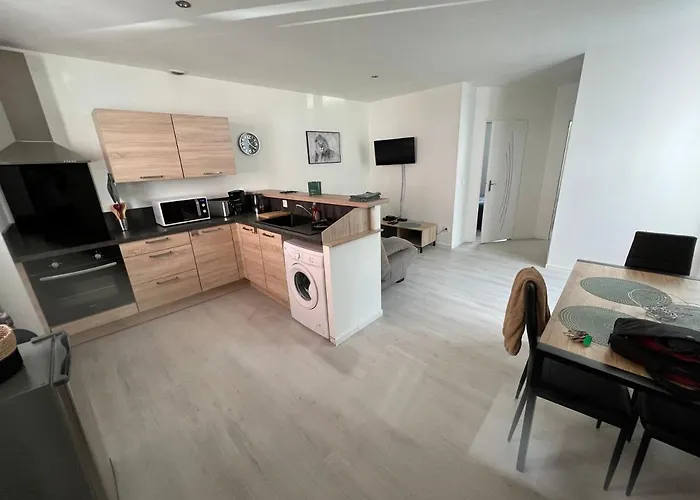 Escale Sereine A Lourdes, Appartement Calme Entre Gare Et Sanctuaire A Pied Appartement