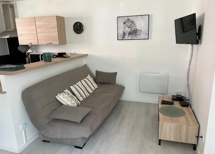 Escale Sereine A Lourdes, Appartement Calme Entre Gare Et Sanctuaire A Pied Lourdes