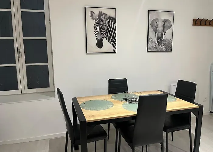 Escale Sereine A Lourdes, Appartement Calme Entre Gare Et Sanctuaire A Pied Lourdes