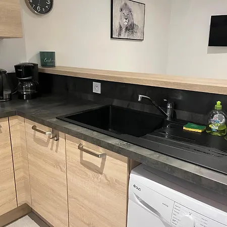 Escale Sereine A Lourdes, Appartement Calme Entre Gare Et Sanctuaire A Pied *