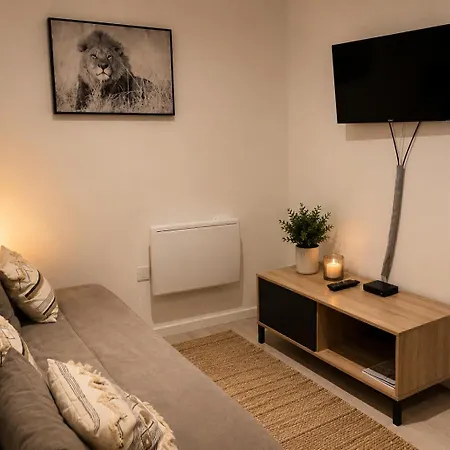 Apartament Escale Sereine A Lourdes, Calme Entre Gare Et Sanctuaire A Pied Lourdes