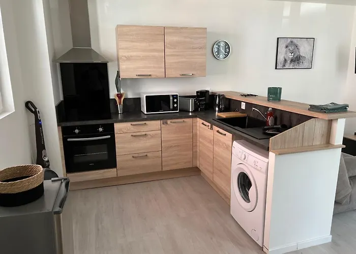 Escale Sereine A Lourdes, Appartement Calme Entre Gare Et Sanctuaire A Pied * Lourdes