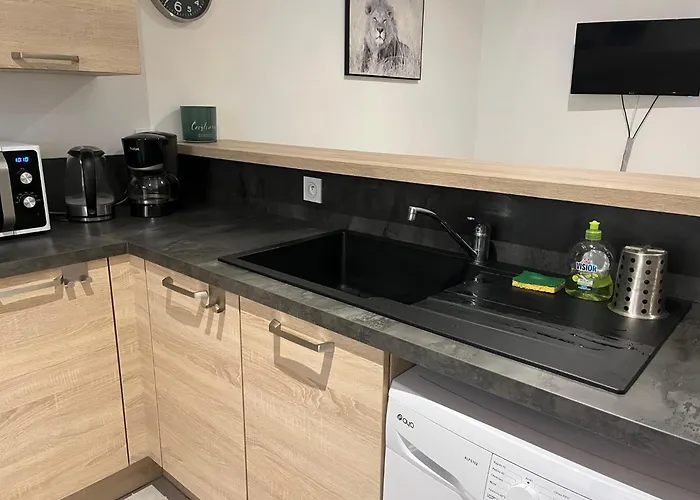 Escale Sereine A Lourdes, Appartement Calme Entre Gare Et Sanctuaire A Pied *