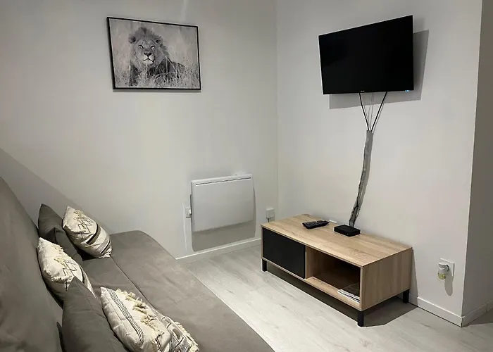 Appartement : Superbe T2 42m2 Lourdes